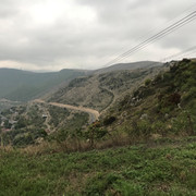 IMG-1350