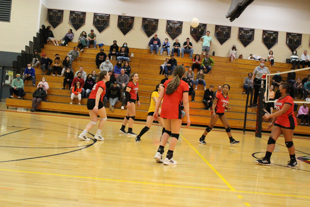 IMG-0229