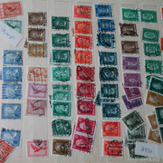 IMG-2061