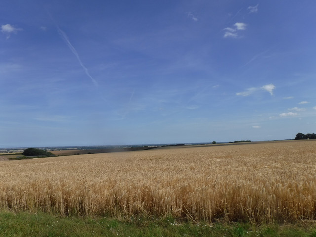 DSCF6177.jpg
