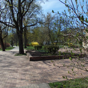 P5041522