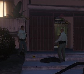 ss5.jpg