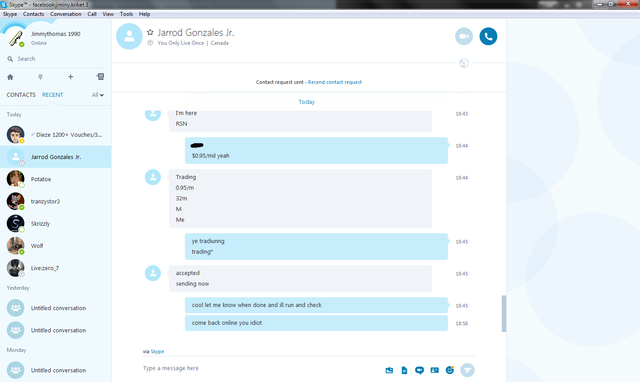 protector skype 4