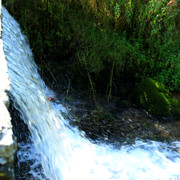IMG-1710