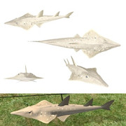 Guitarfish