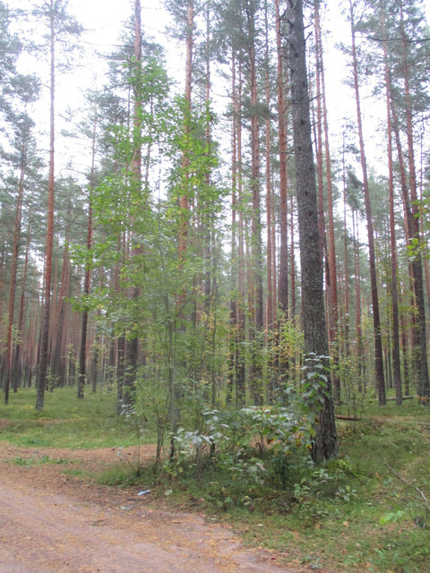 IMG-9710