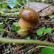 DSC00166