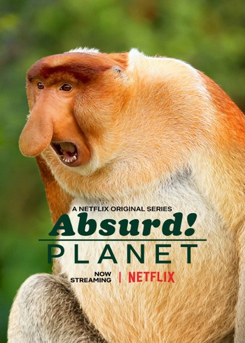 Absurdalna planeta / Absurd Planet (2020) {Sezon 1} PL.720p.WEB-DL.h264-noGrp | Lektor i Napisy PL