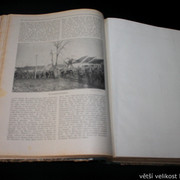 IMG-7099