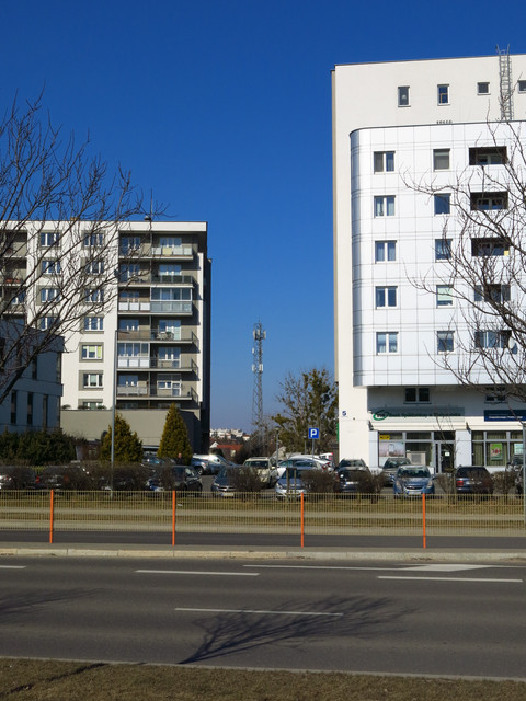IMG-3575