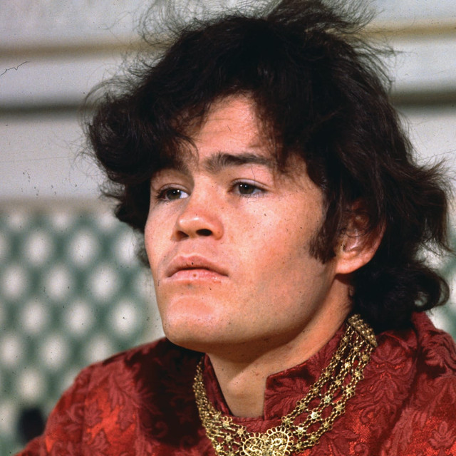 monkees