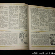 IMG-3585