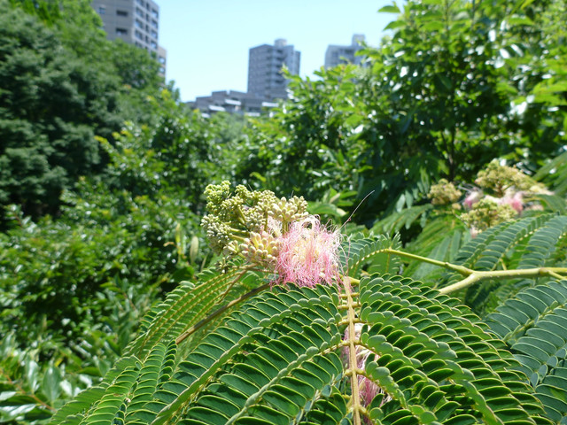 P1320187.jpg