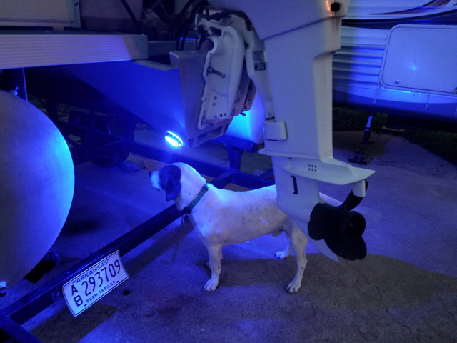 20170325 194439 1.jpg