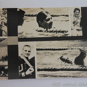 IMG-0315