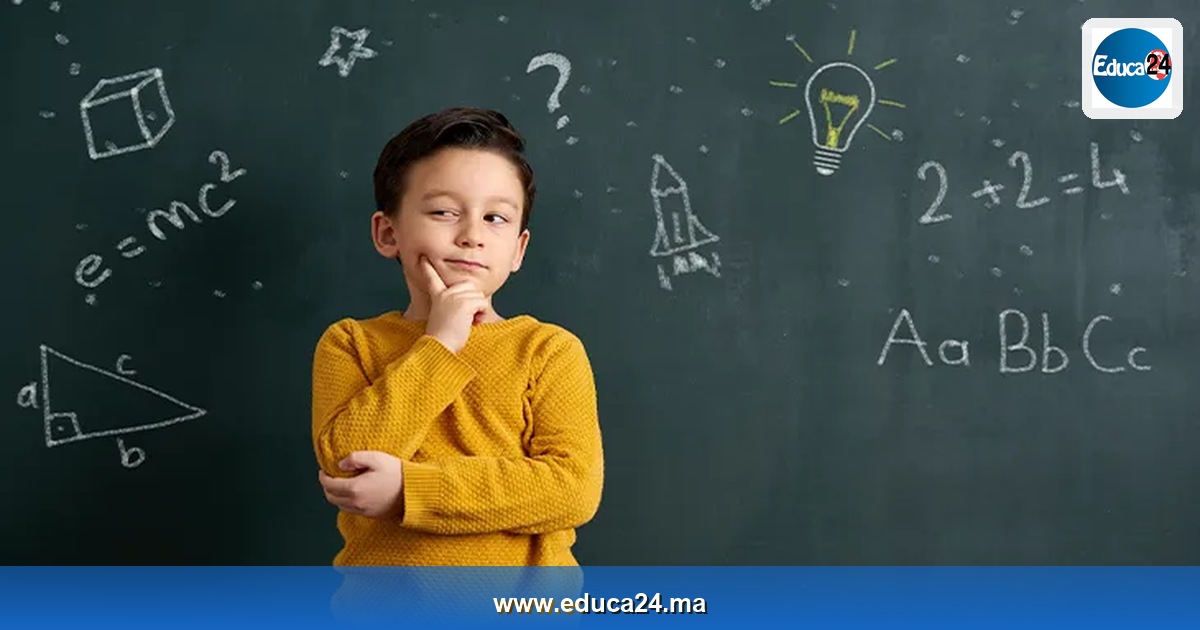 كيف تعزّز سياسات التعليم المغربي التفكير النقدي