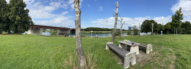 IMG-8696.jpg