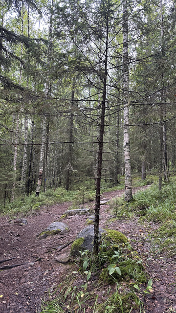 IMG 4786.jpg