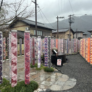 IMG-2813