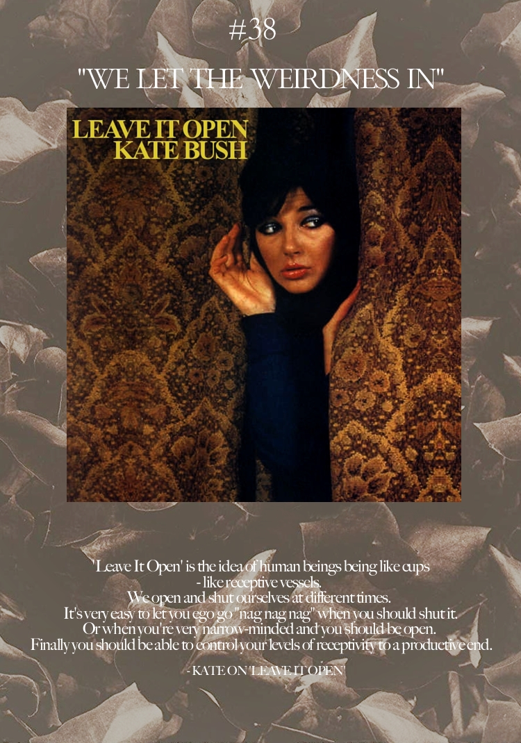 This Woman's Complete Work: The Kate Bush discography rate (RESULTS ...