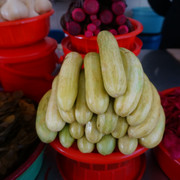 DSC00533