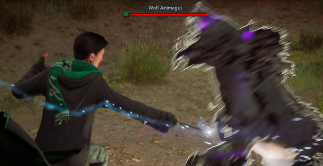 Wolf-Animagus.jpg