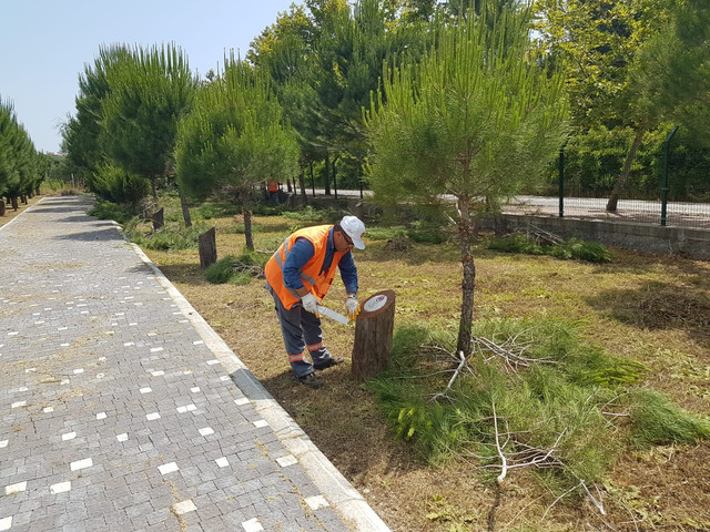 MANAVGAT EHTLER ORMANINA BAKIM YAPILDI