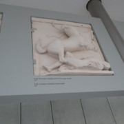 IMG-0178