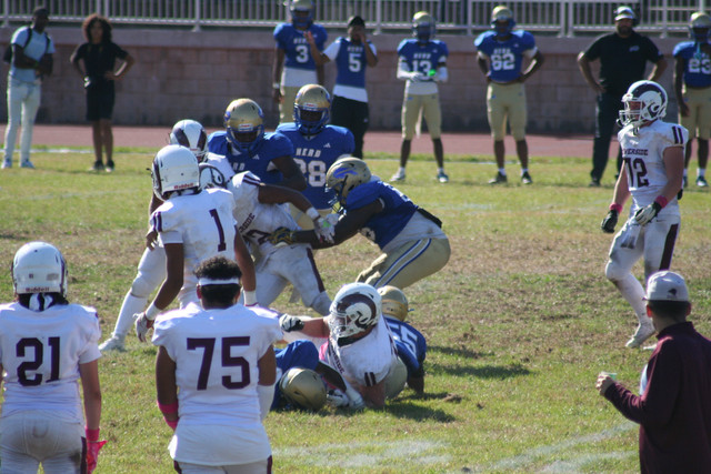 IMG-1285.jpg