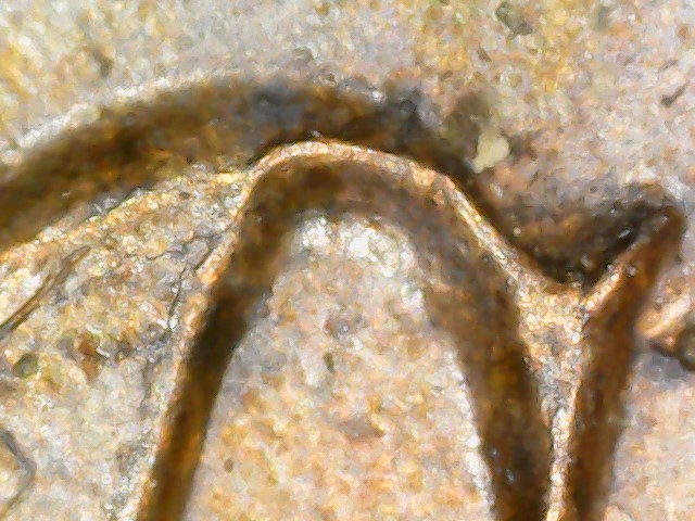 Is-This-A-Mint-Damaged-1908-IHC.-Looks-Double-Struck-To-Me.