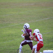 IMG-2353