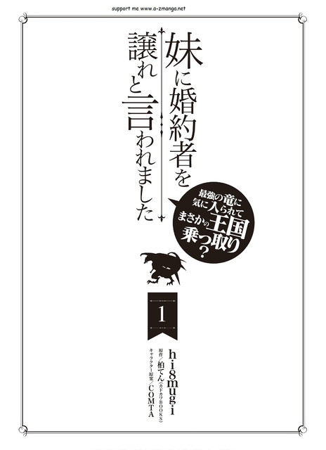 DLRAW-NET-0003