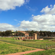 IMGP8291p-1