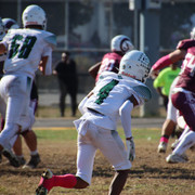 IMG-4516