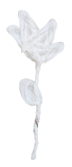 I-Do-Kit-133.png