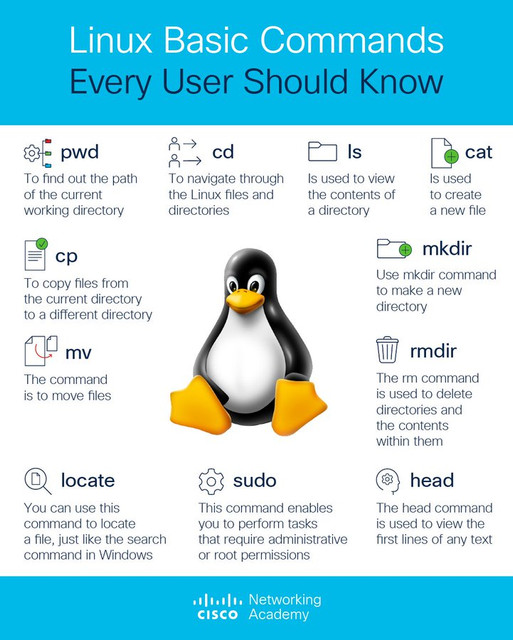 linux-basic-commands