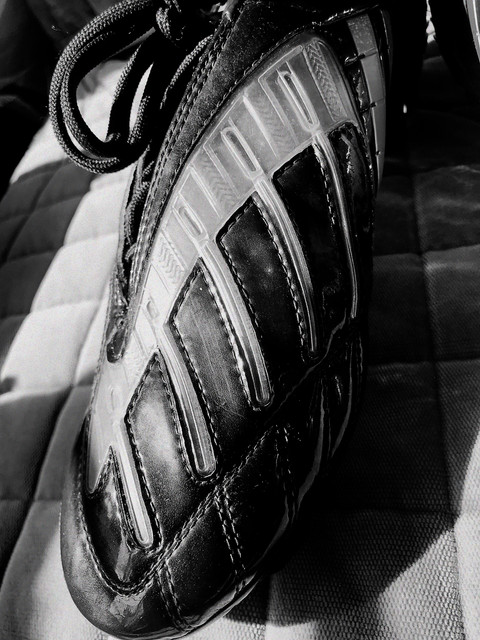 IMG 5602.jpg