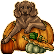 Pumpkin-Base