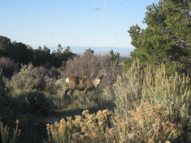 IMG-0188