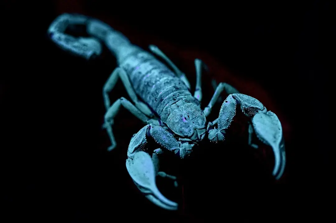 Scorpionii în octombrie 2026: Navigând printre oportunități și provocări