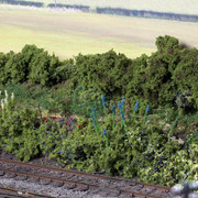 Linside plants 2