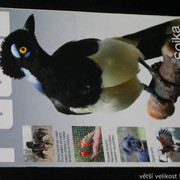 IMG-7748