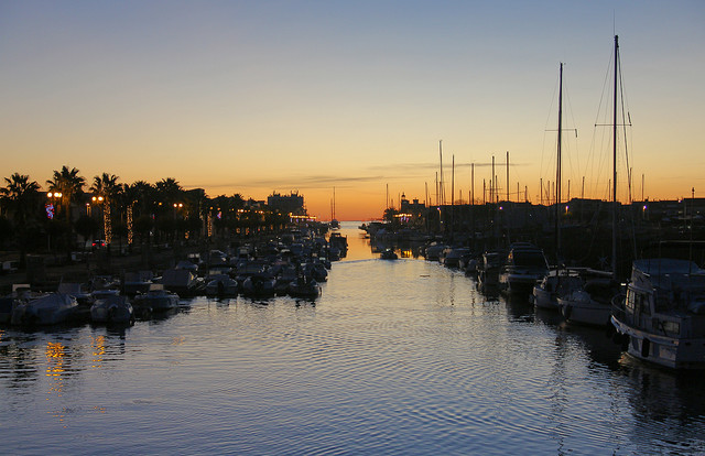 IMG-3642
