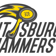 Wordmark: Pittsburgh Hammers
