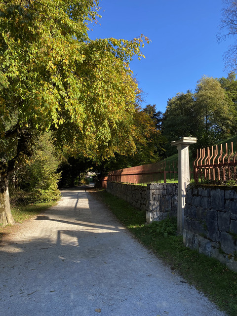 IMG-3008