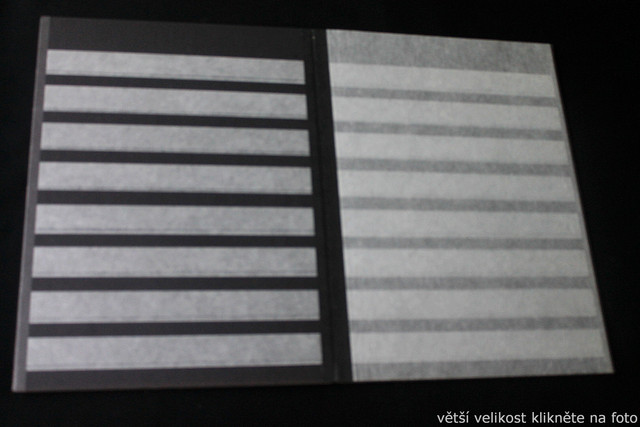 IMG-6793.jpg