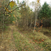IMG-4347