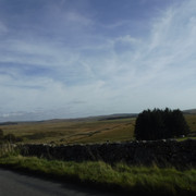 DSCF5513