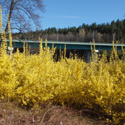 P5041509