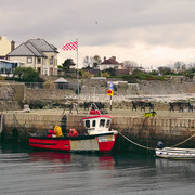 IMGP1648